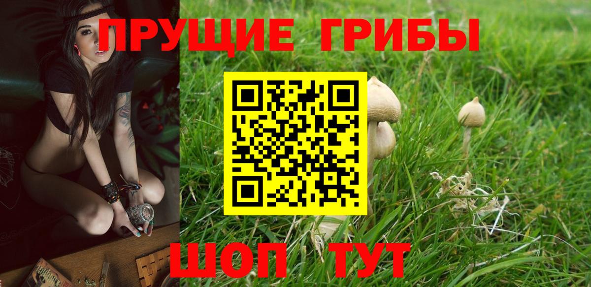 Рузаевка  Псилоцибиновые грибы мицелий  Вход с VPN  Галлюциногенные грибы MAGIC MUSHROOMS 