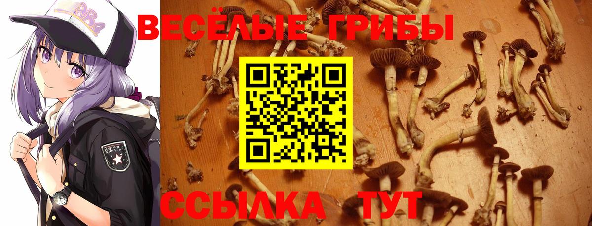 Псилоцибиновые грибы Psilocybine cubensis Рузаевка